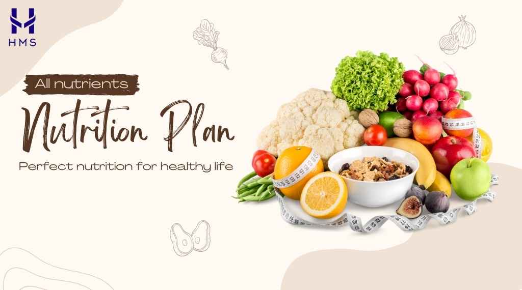 Complete nutrition is the key to child health and cognitive development, acting as a performance booster for both body and mind. A well-rounded perfect nutrition guide ensures a healthy life and paves the way for lifelong happiness."